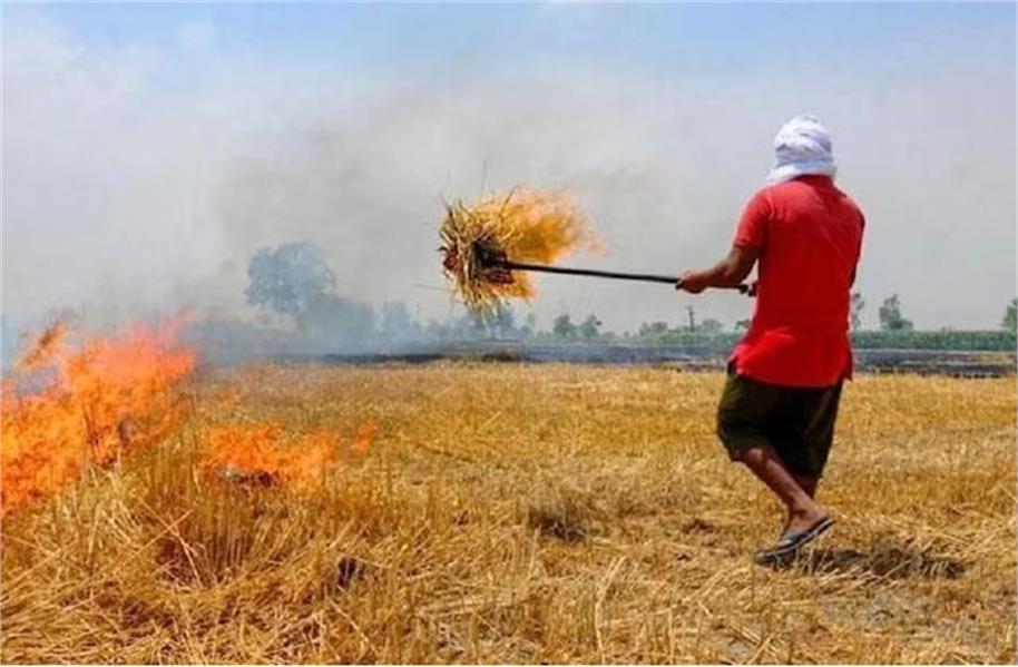 पराली जली तो थाना प्रभारी की होगी जिम्मेवारी, हर रोज देनी होगी जानकारी