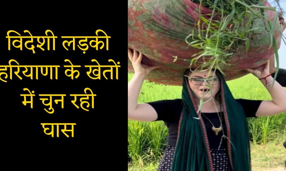 Viral Video: विदेशी लड़की हरियाणा के खेतों में चुन रही घास, वीडियो हो रहा वायरल