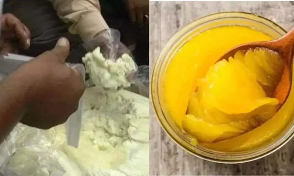 मोहाली के Zirakpur में चल रहा था मिलावट का धंधा, नकली पनीर और देसी घी की सप्लाई का भंडाफोड़